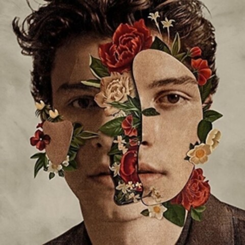 Shawn Mendes (Deluxe) by Shawn Mendes - CD - shop now at Shawn Mendes store