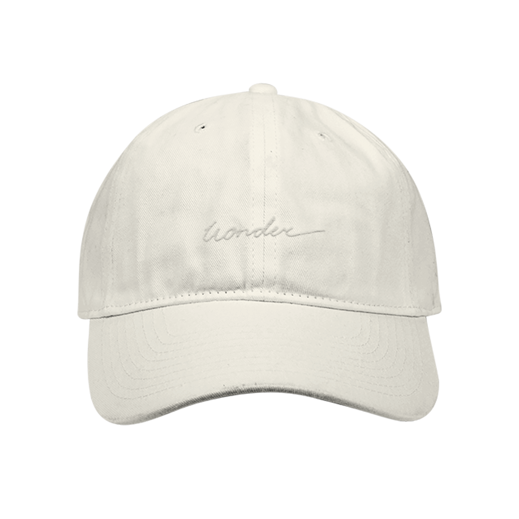 Shawn Mendes WONDER SCRIPT I Dad Hat 170116