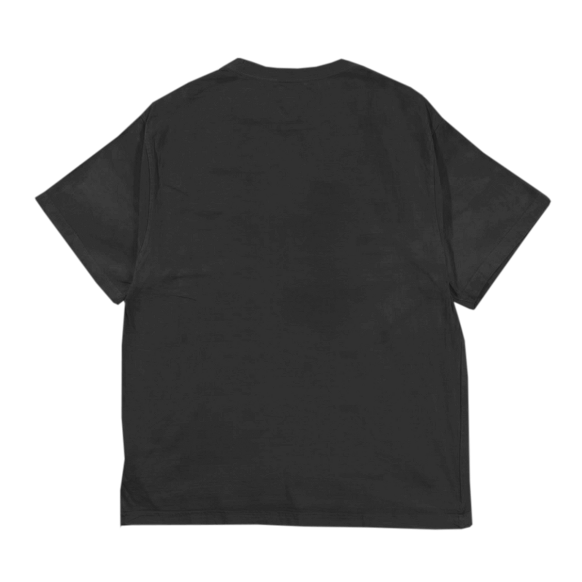 Shawn Mendes WONDER SWALLOW T-Shirt 61686